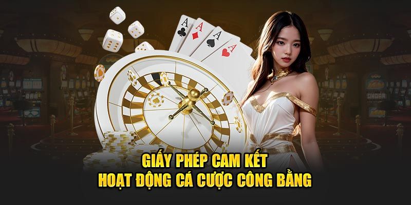 Các loại giấy phép RR88 sở hữu